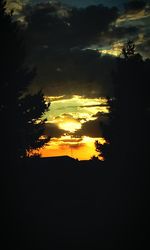 Silhouette of trees at sunset