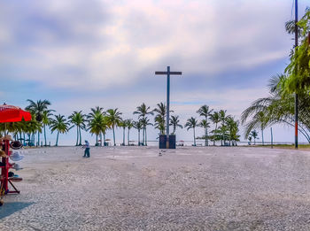 Palm trees on beach against sky