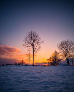 Bare trees on snow covered field against sky at sunset