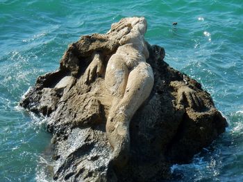 High angle view of rocks on beach