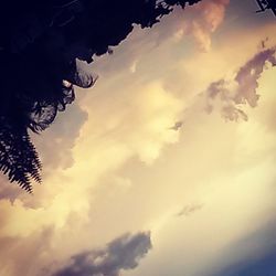 Low angle view of trees against cloudy sky