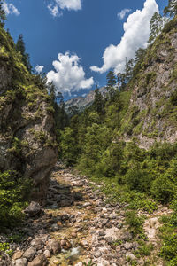 Scenic view of trees and mountains against sky