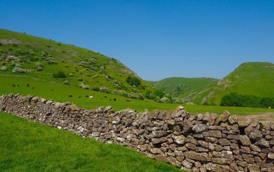 Scenic view of landscape against clear sky