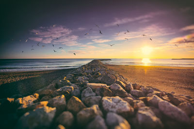 Scenic view of sea at sunset