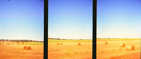 Scenic view of field against clear sky