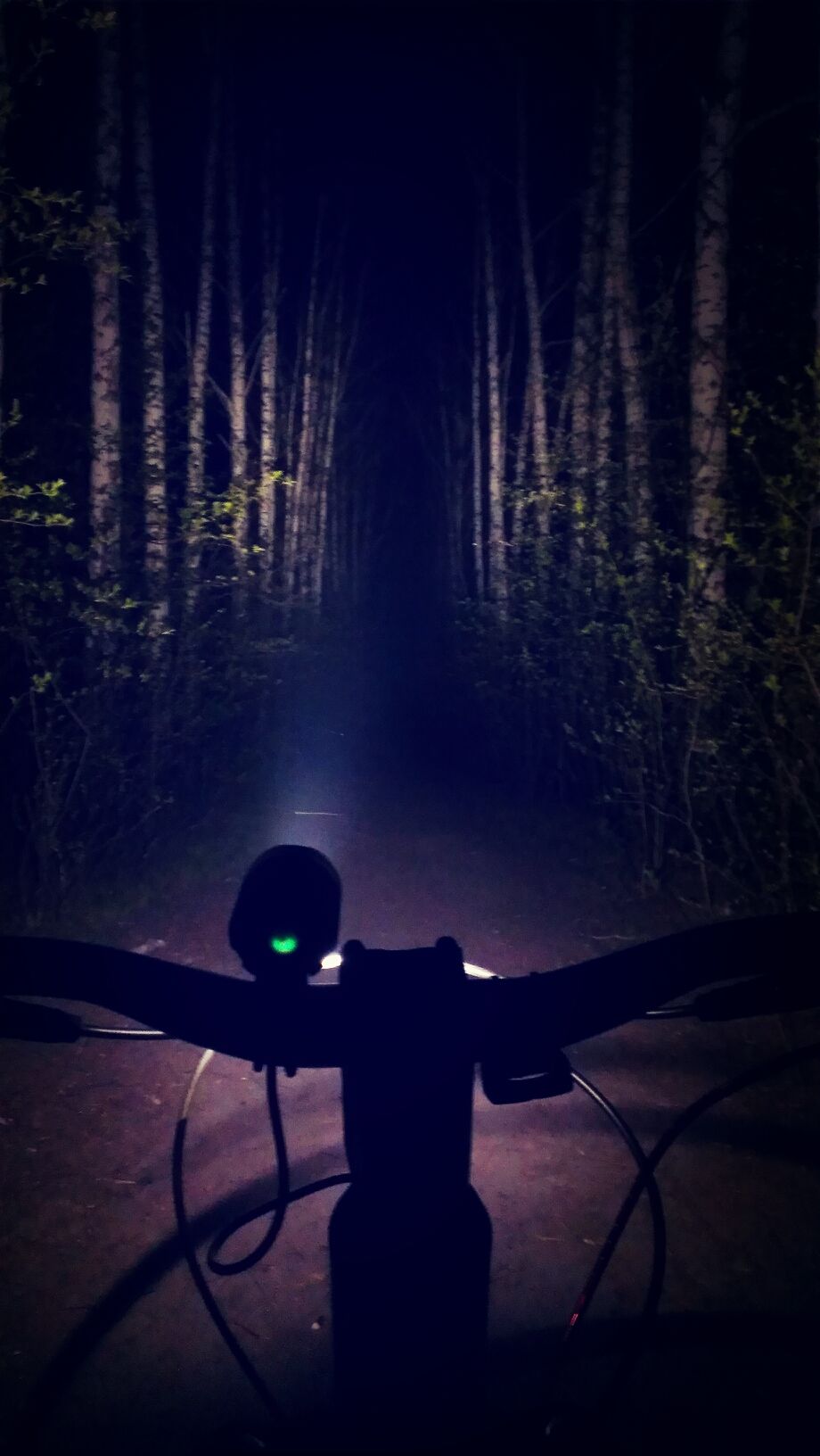 Nightriding