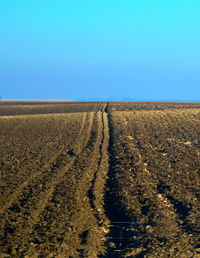 Scenic view of agricultural field against clear blue sky