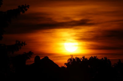 Silhouette of trees at sunset