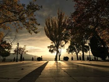 Silhouette trees by footpath against sky during sunset