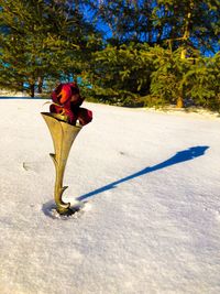 Full length of woman standing on snow covered land