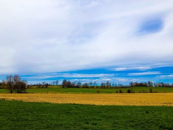 Scenic view of field against sky