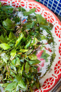 High angle view of leaves in plate