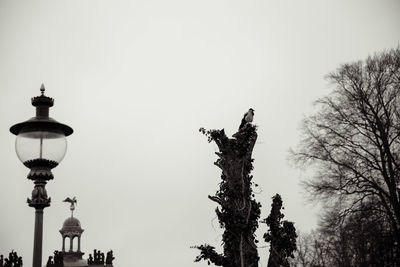 Low angle view of bare trees against clear sky