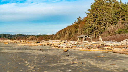 Scenic view of beach against sky