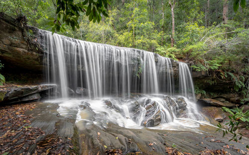 Scenic view of waterfall in forest