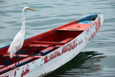 Bird on boat in lake