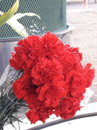 High angle view of red flowering plant