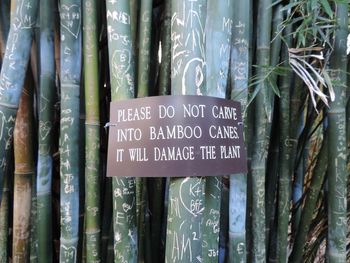 Warning sign on bamboos