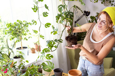 Rhaphidophora tetrasperma, a mini monstera. urban jungle, gardening concept. biophilic design