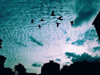 Low angle view of silhouette birds flying against sky