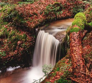 Waterfall in forest