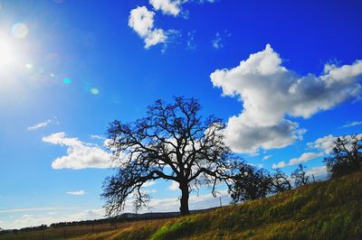 Trees on landscape against blue sky