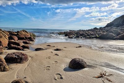 Scenic view of beach against sky