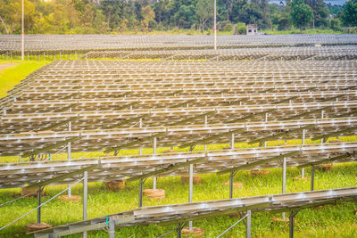 High angle view of agricultural field