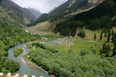 Aerial view of river by landscape in forest