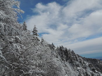 Low angle view of snowcapped mountain against sky