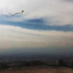 Bird flying over the sky