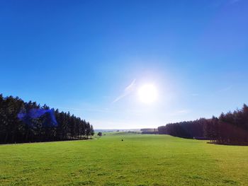 Scenic view of field against blue sky