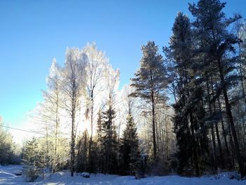 Scenic view of snow covered landscape