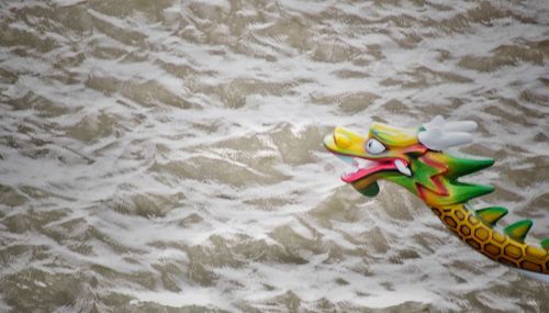 High angle view of water on shore