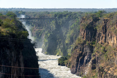 Scenic view of river amidst trees