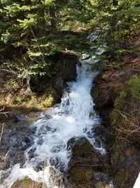 River flowing through rocks