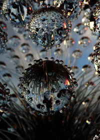 High angle view of water drops on leaf