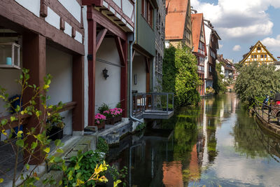 Potted plants by canal and buildings against sky