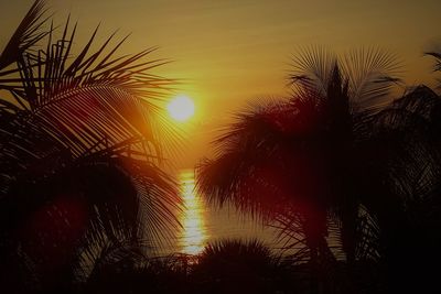 Low angle view of silhouette palm trees against sky