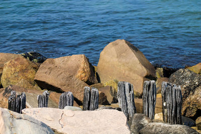 High angle view of rocks on beach