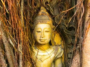 Statue of buddha