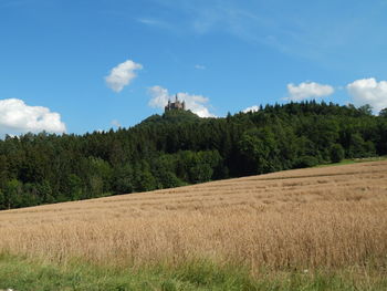 Scenic view of trees growing on field against sky