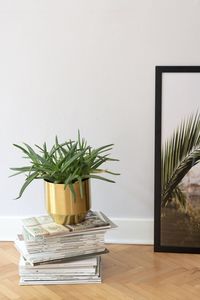 Close-up of potted plant on table at home