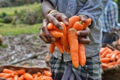 Midsection of man holding pumpkin at market