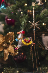 Close-up of christmas tree