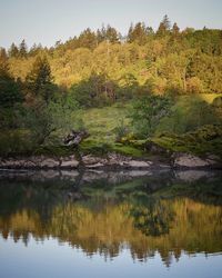 Scenic view of river in forest against sky