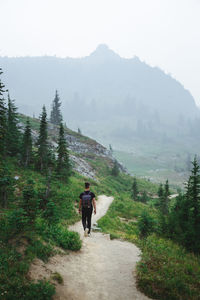 Rear view of man walking on mountain against sky
