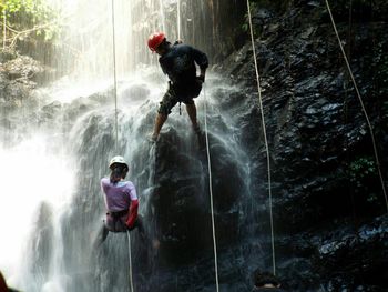 Rear view of people rappelling at waterfall in forest
