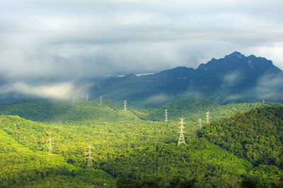 Aerial view long exposure transmission tower in green forest and beautiful morning smooth fog. 