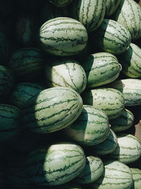 Watermelons for sale in market